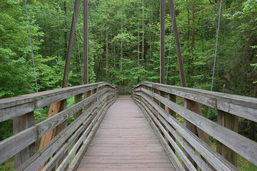 Georgia's Tallulah Falls Rail-Trail | Photo by TrailLink user linda64