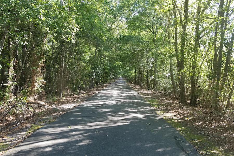 Georgia's Tom White Linear Park | Photo by TrailLink user henrog11