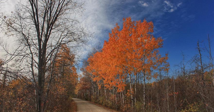 Glacial Drumlin State Trail | Photo by Dave Jonasen