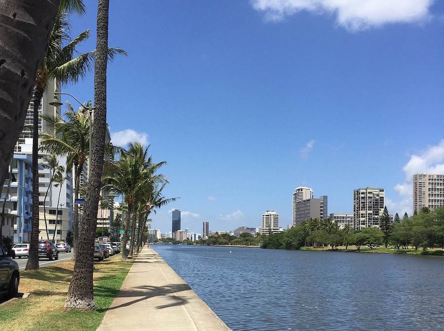 Hawaii's Ala Wai Canal Promenade | Photo Courtesy of Lyla Dang