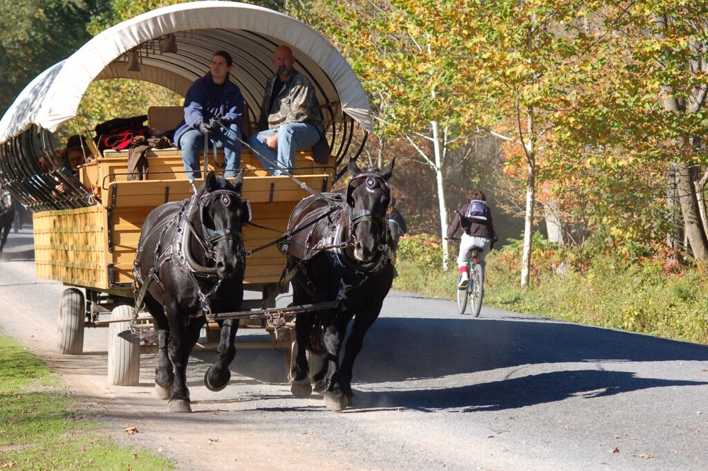Horsedrawn covered wagon rides are available on a portion of the rail-trail | Photo courtesy Tioga County Visitors Bureau