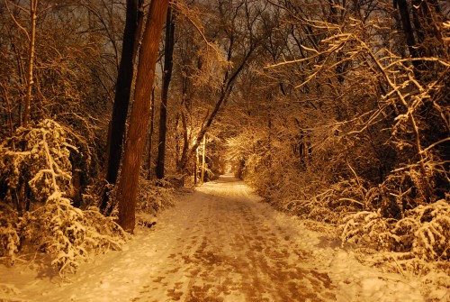 Illinois Prairie Path | Photo by Clark Maxwell