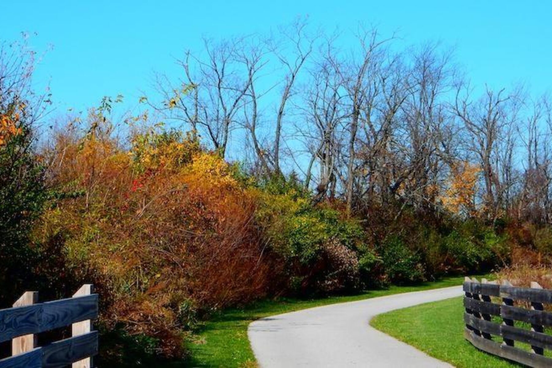 Indiana's Erie Lackawanna Trail | Photo by Tom Roach