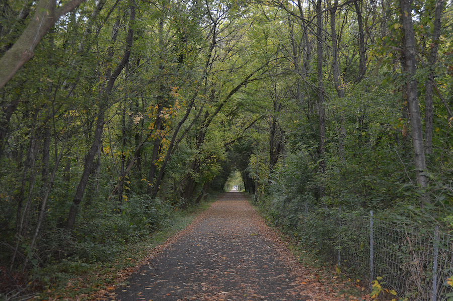 Indiana's Prairie-Duneland Trail | Photo by Rich Dominiak