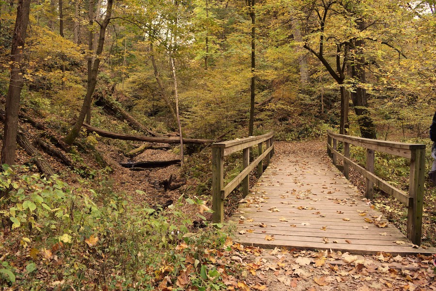 Iowa's Wildcat Den State Park | Photo courtesy Wildcat Den State Park