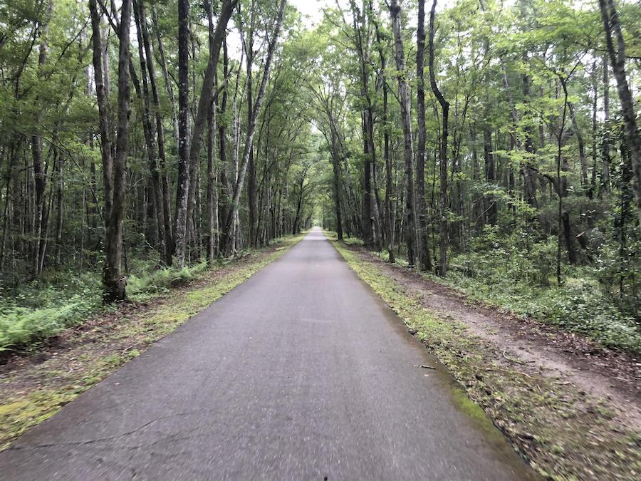 Jacksonville-Baldwin Rail-Trail | Photo by TrailLink user connbaum1226