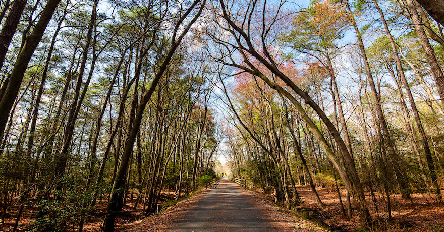 Junction and Breakwater Trail | Courtesy Delaware State Parks