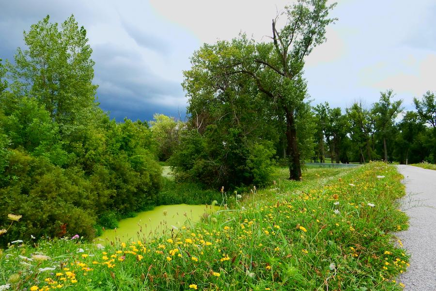 Just north of Wicker Park, the Erie Lackawanna trail is lush and green in the spring and summer. | Photo by Tom Roach