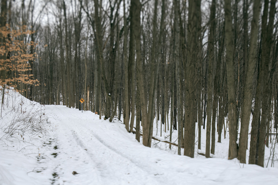 Kalamazoo River Valley Trail | Photo by William Dolak