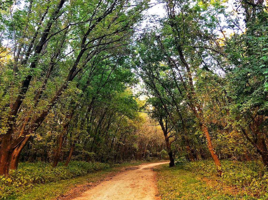 Kansas' Indian Creek Bike:Hike Trail | Photo by TrailLink user magdalena.szerenos.