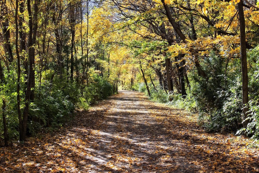 Kansas' Landon Nature Trail | Photo by TrailLink user danlbwood