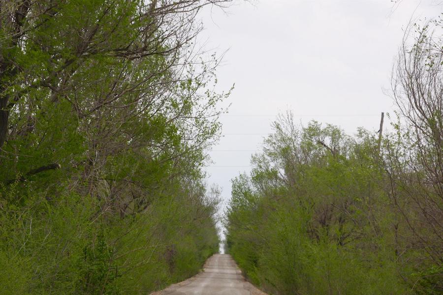 Kansas' Redbud Trail | Photo by TrailLink user sleeplessinwichitaks