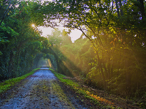 Katy Trail in Missouri | Photo by Wilson Hurst