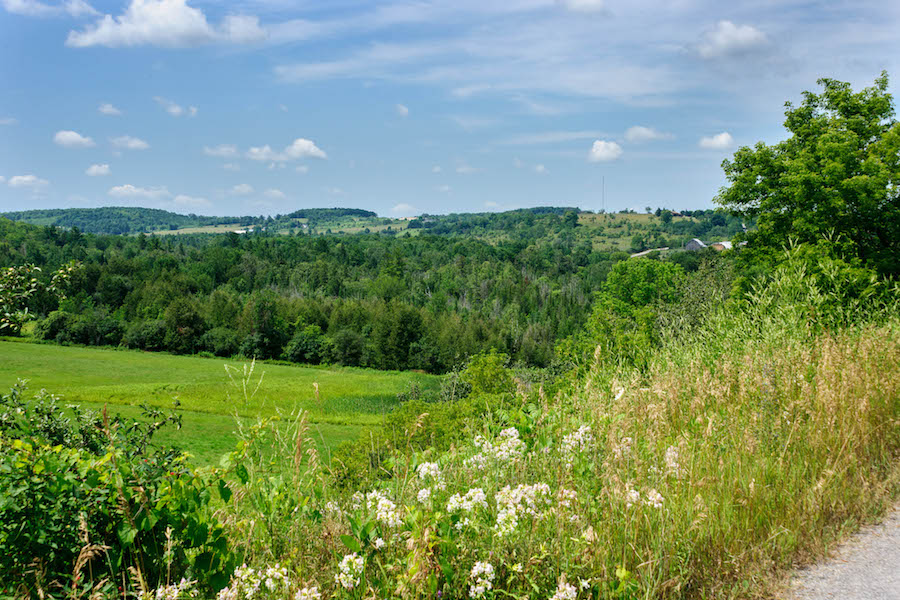 Kawartha Trans Canada Trail in Ontario | Photo by Cam Salsbury
