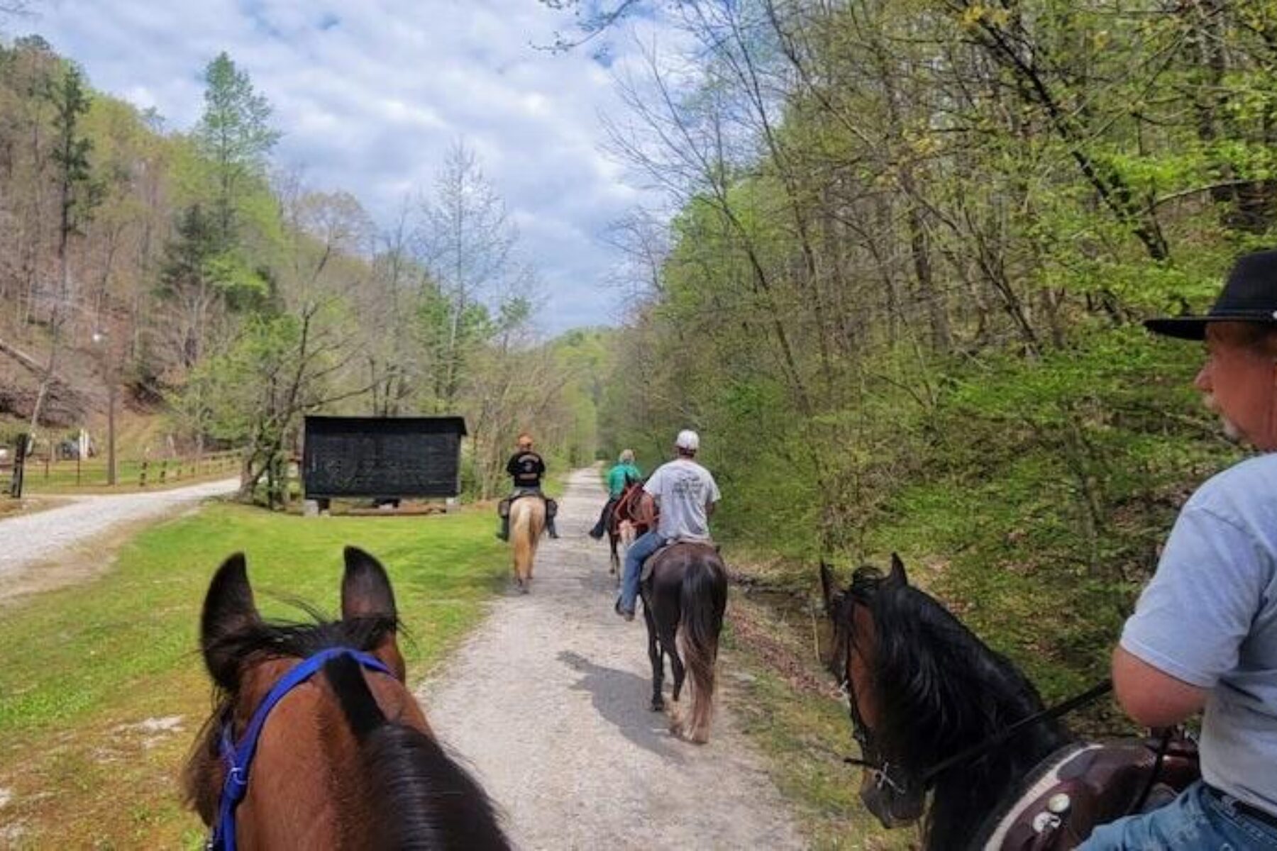 Kentucky's Dawkins Line Rail Trail | Photo by Tamara Hicks