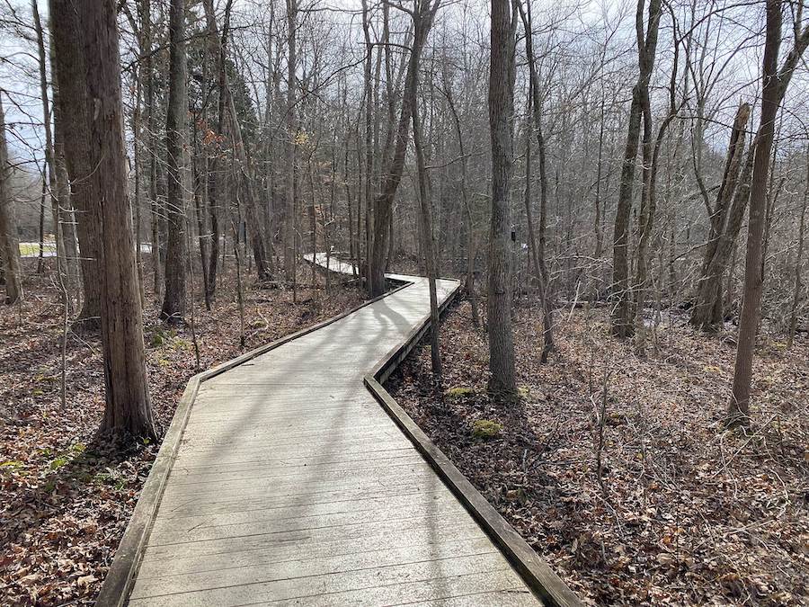 Kentucky's Mammoth Cave Railroad Bike & Hike Trail | Photo by TrailLink user crazygoatlady25