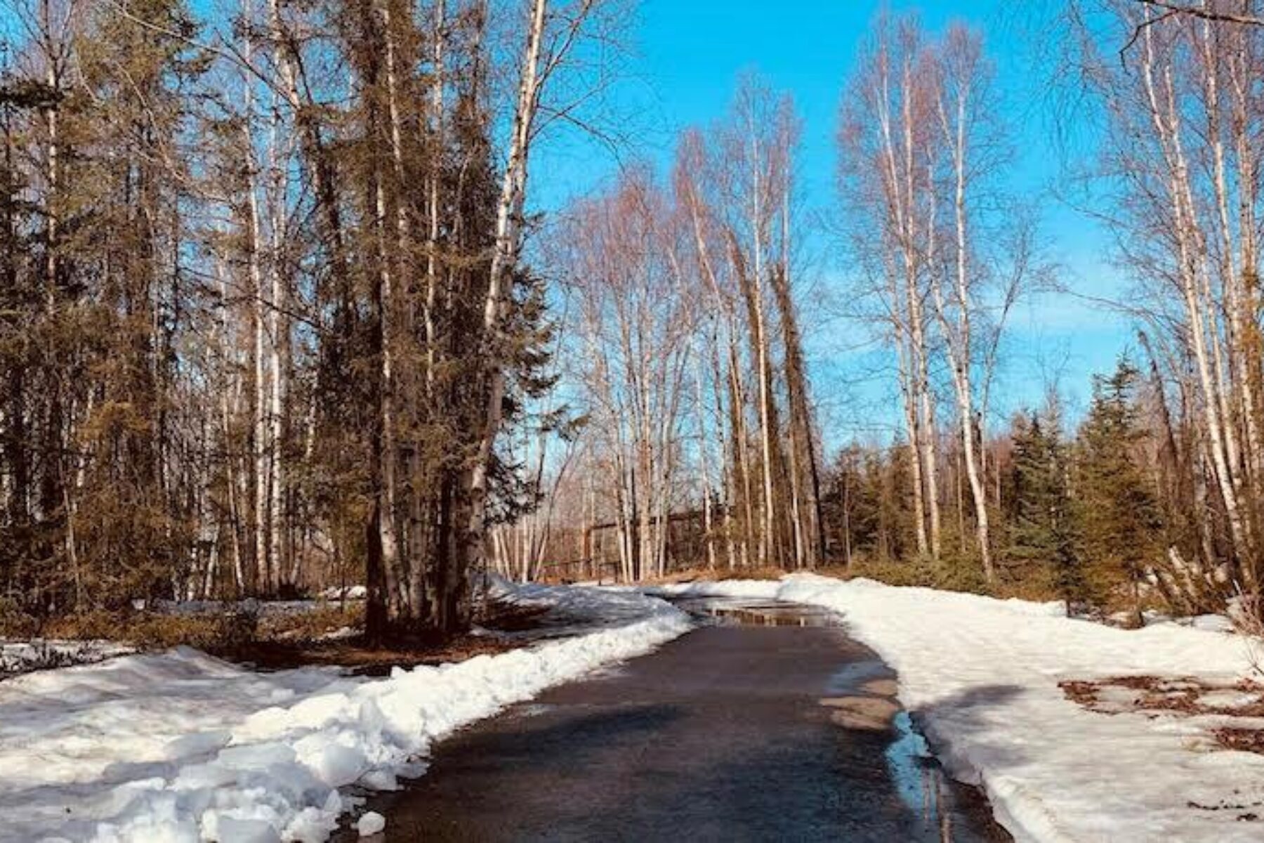 Lanie Fleischer Chester Creek Trail | Courtesy Erin Kirkland