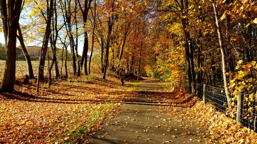 Little Beaver Creek Greenway in Ohio | Photo by Tom Bilcze