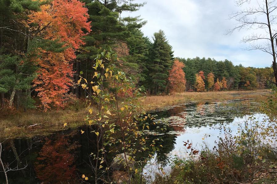 Londonderry Rail Trail | Photo by TrailLink user cdunlap55