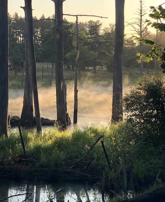 Londonderry Rail Trail | Photo by TrailLink user vmoesmith_tl