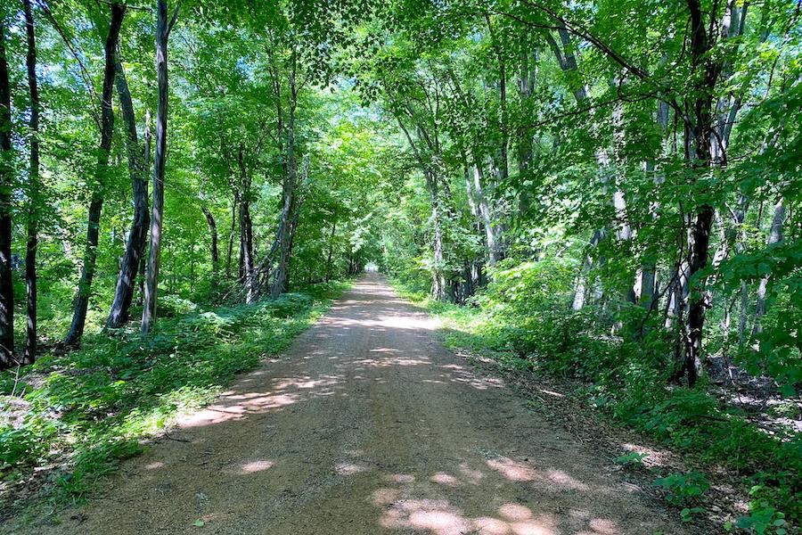 Luce Line Trail in Minnesota | Photo by TrailLink user gladbrook33