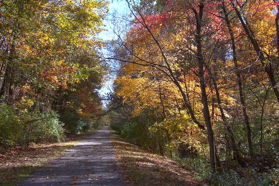 MCT Goshen Trail | Photo by David Bierbaum