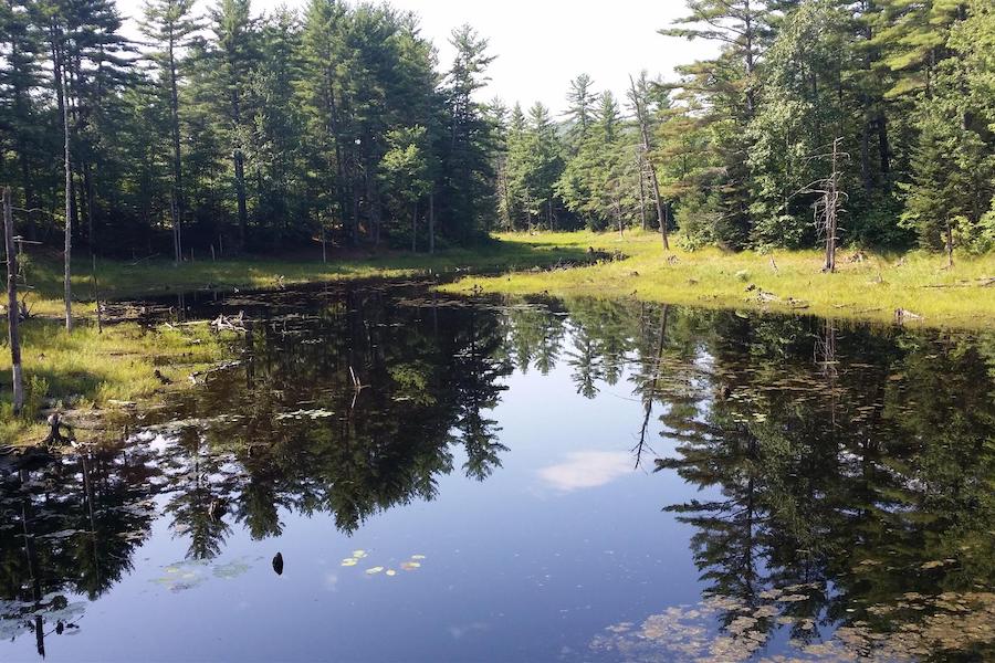 Maine's Mountain Division Trail | Photo by TrailLink user lanijean.feeley