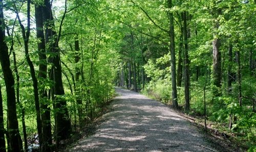 Mammoth Cave Railroad Bike & Hike Trail in Mammoth Cave National Park, Kentucky | Photo by Rick Heeth