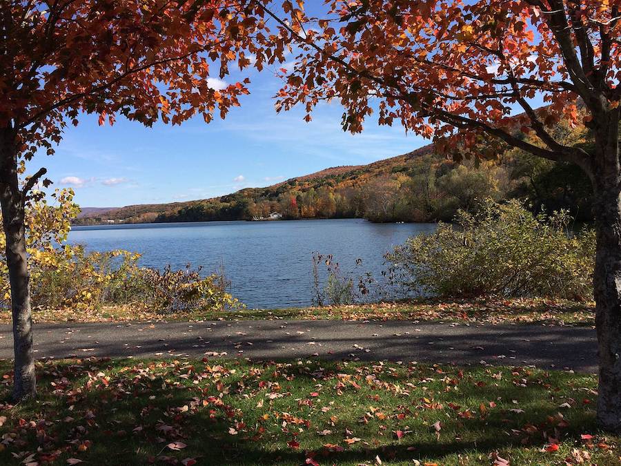 Massachusetts' Ashuwillticook Rail Trail | Photo by traillink user jalden1003