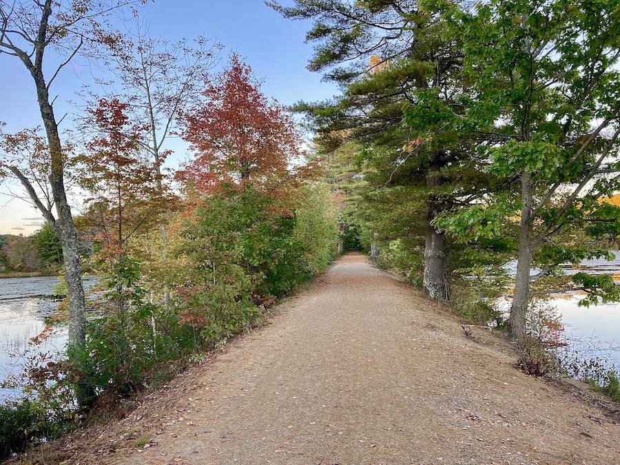 Massachusetts' Mass Central Rail Trail | Photo by Traillink user cathleen_bradley