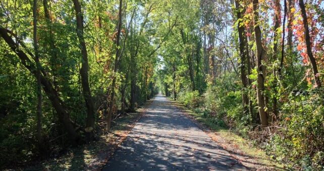 Massive trees line the SCTBCC, providing shade in the warm months and a virtual kaleidoscope of colors during the fall. | Photo courtesy Heidi Bulger.