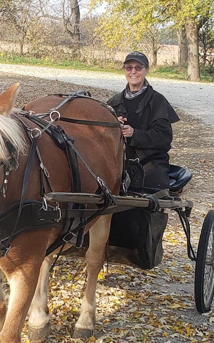 Megan Gray riding a buggy pulled by Hope | Photo courtesy Megan Gray