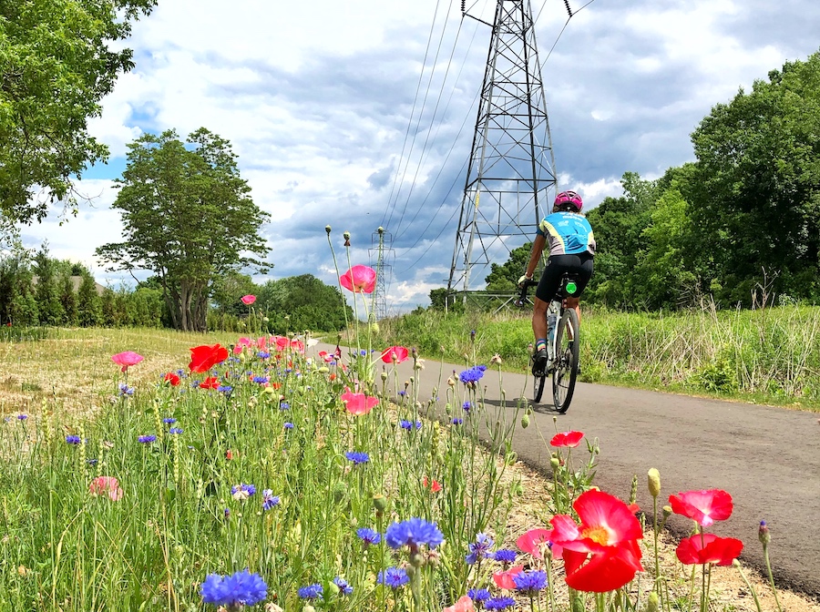 Michigan Air Line Trail | Photo by John Hensler