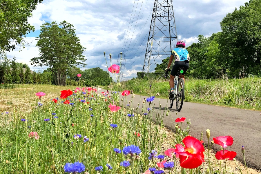 Michigan Air Line Trail | Photo by John Hensler