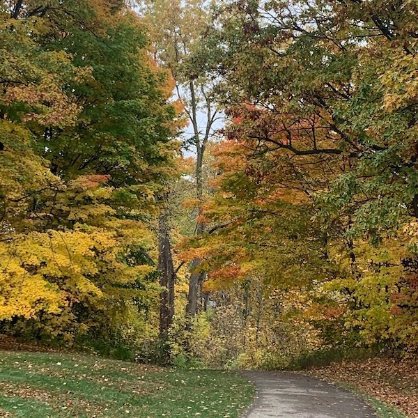Michigan's Clinton River Park Trail | Photo by MaShanta Ashmon