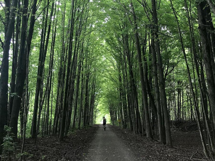 Michigan's Kal-Haven Trail | Photo by TrailLink user peteanddonna
