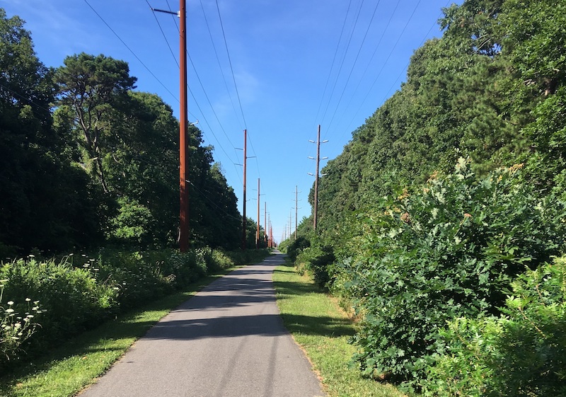 Middle Township Bike Path, one of a handful of rail-trails in the growing Cape May County Trail Network | Photo by Tom Allingham