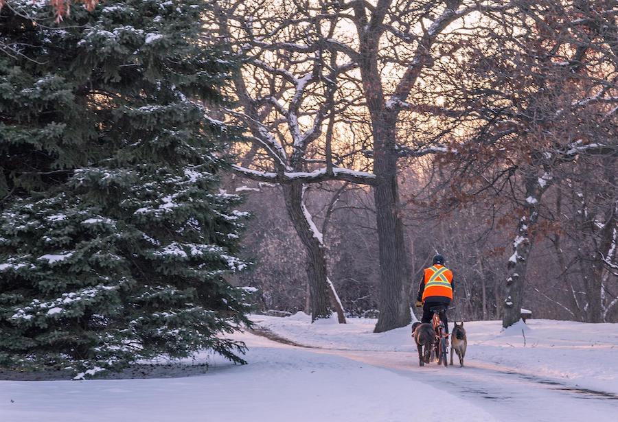 Minnesota's Rush Creek Regional Trail | Photo courtesy Tony Webster | CC BY-SA 2.0