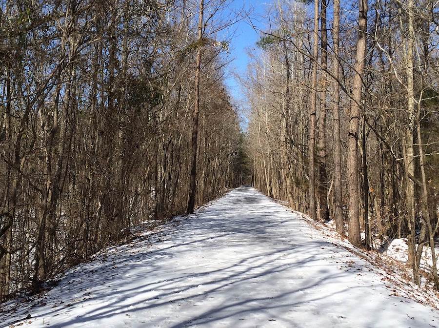 Mississippi's South Campus Rail Trail | Photo by TrailLink user angiechickade
