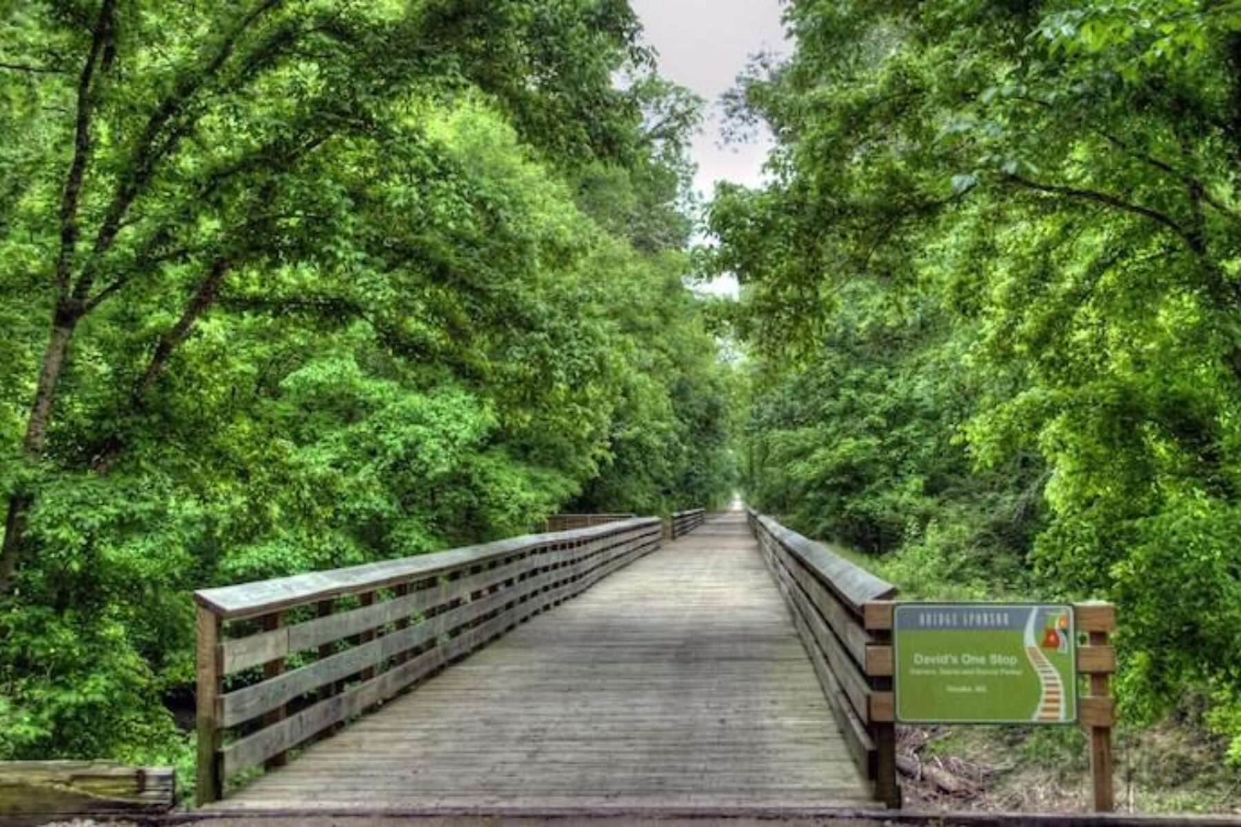 Mississippi's Tanglefoot Trail | Photo by Wendy Crosby, courtesy mightybus.wordpress.com