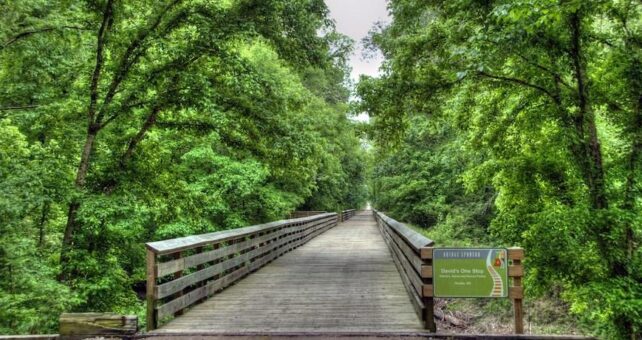 Mississippi's Tanglefoot Trail | Photo by Wendy Crosby, courtesy mightybus.wordpress.com