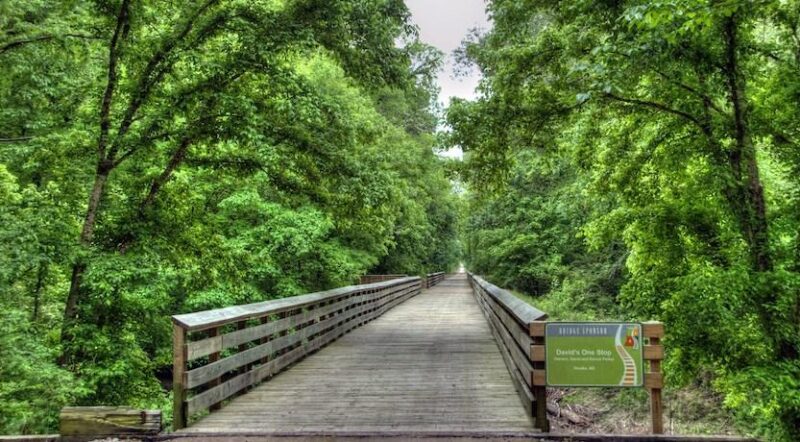 Mississippi's Tanglefoot Trail | Photo by Wendy Crosby, courtesy mightybus.wordpress.com