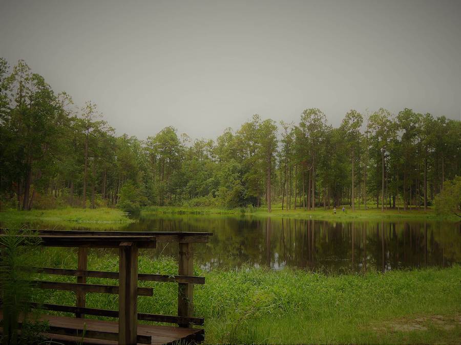 Mississippi's Tuxachanie National Recreation Trail | Photo by TrailLink user lbethany86