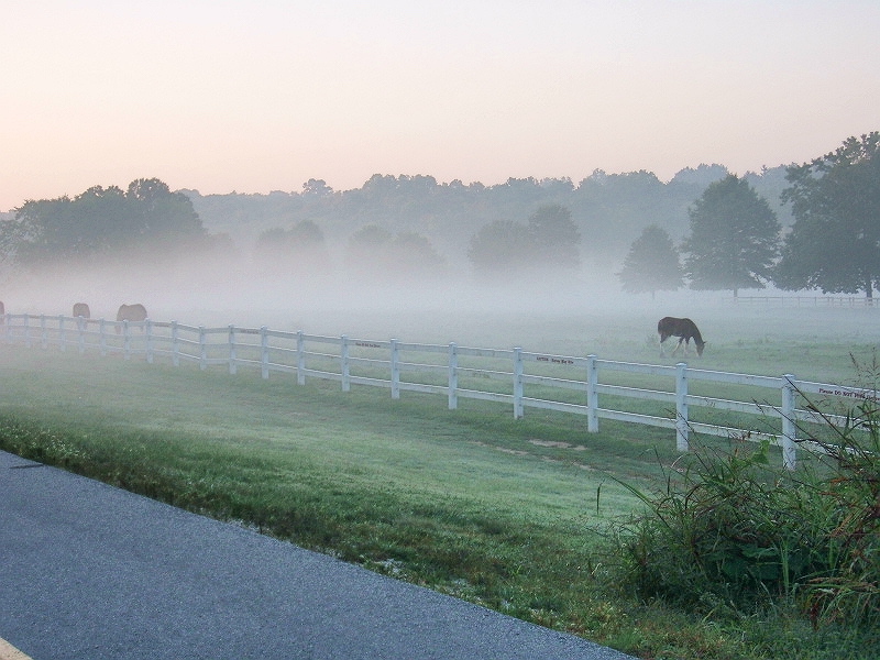 Missouri's Grant's Trail | Photo by Nancy Collis