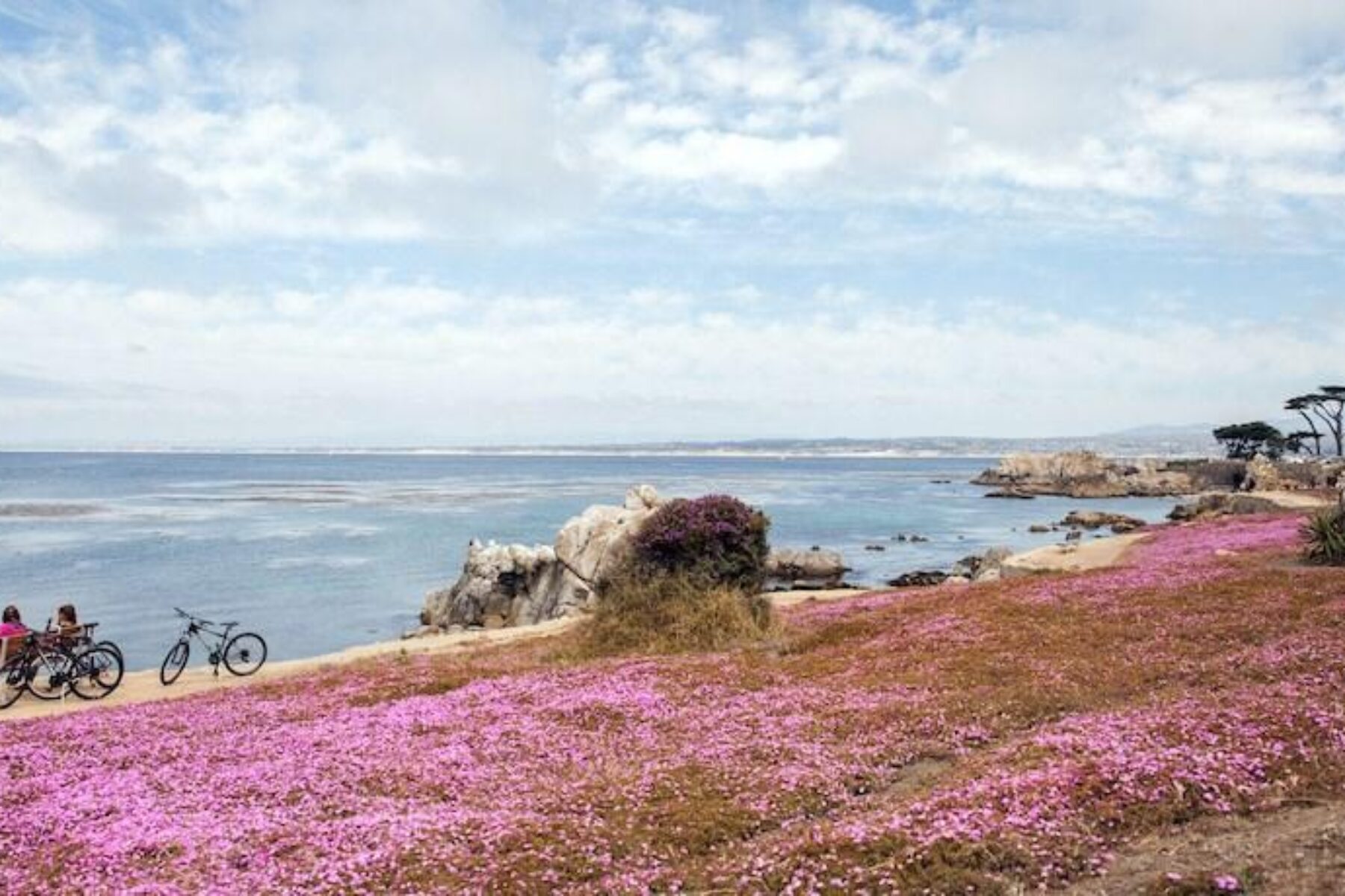 Monterey Bay Coastal Recreation Trail in California | Photo by Elizabeth Bean Photography