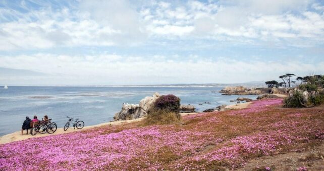 Monterey Bay Coastal Recreation Trail in California | Photo by Elizabeth Bean Photography