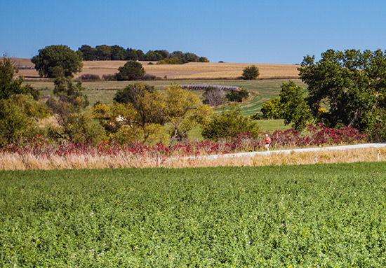 Mopac Trail West, just west of Elmwood heading towards Lincoln | Photo courtesy of Market to Market Relay