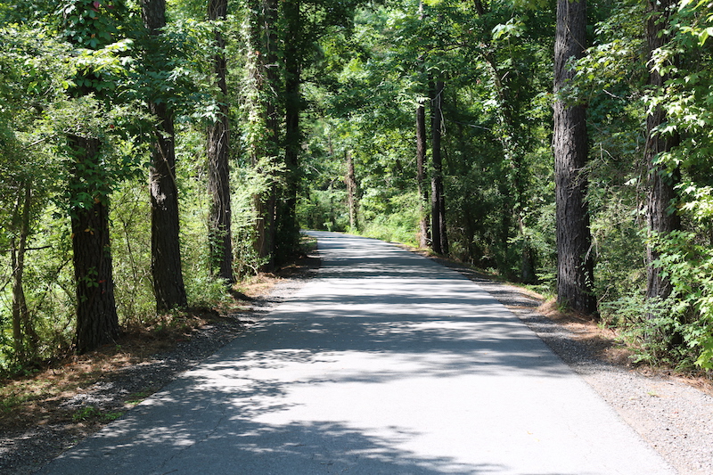 Much of the Tammany Trace is wooded | Photo courtesy St. Tammany Parish