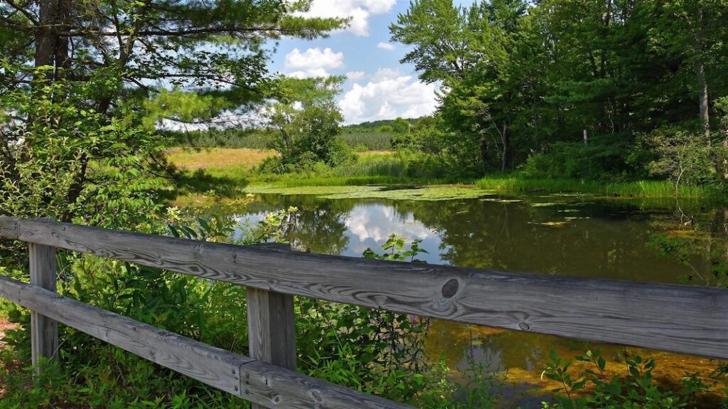 Nashua River Rail Trail | Photo by TrailLink user sc302