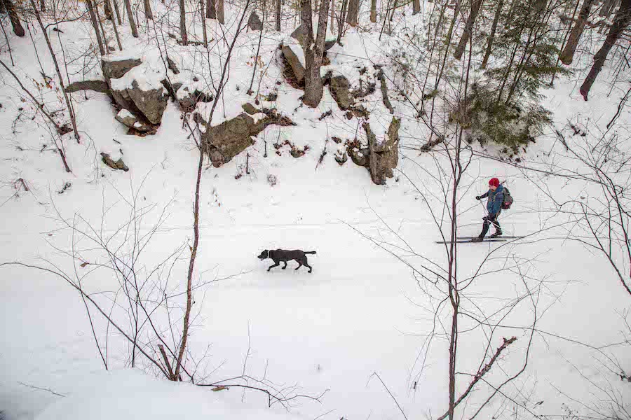 New Hampshire's Northern Rail Trail | Courtesy New Hampshire State Parks